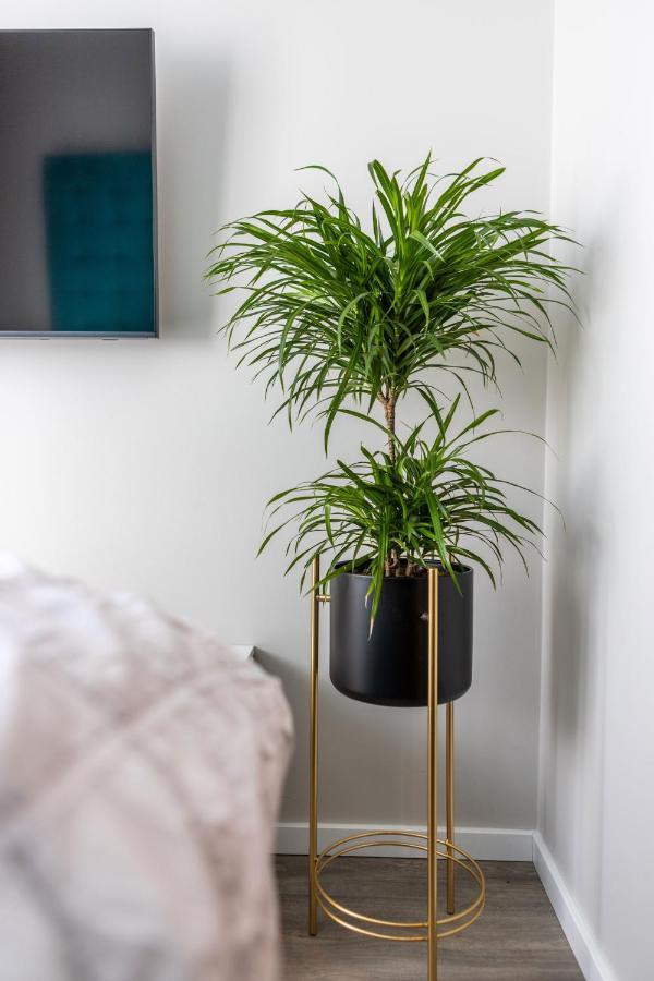 Medus Home - Mano Jura 2 Kunigiskiai - By Hello Sea Homes パランガ エクステリア 写真